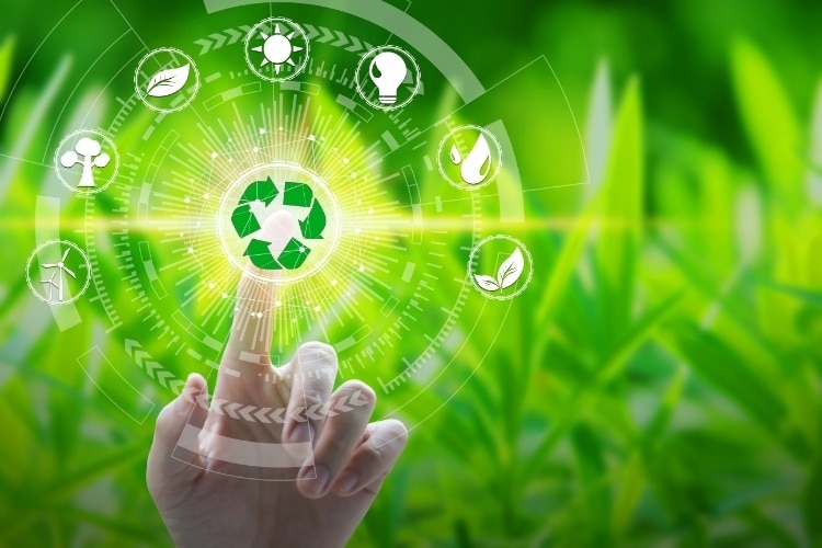 Empresas eco-friendly têm ganhado espaço no mercado e a atenção do consumidor